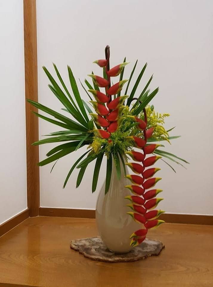 Hoa Chuối Pháo 