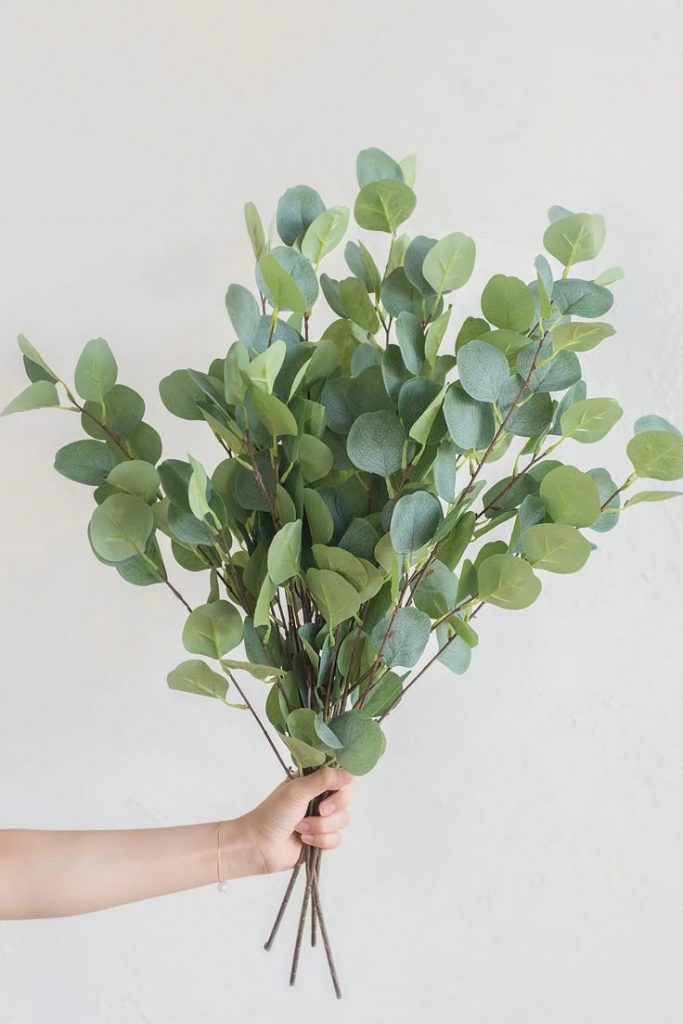 Lá Đô La Bạc