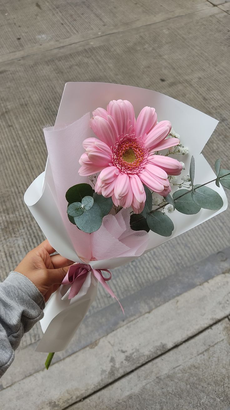 Hoa Đồng Tiền 