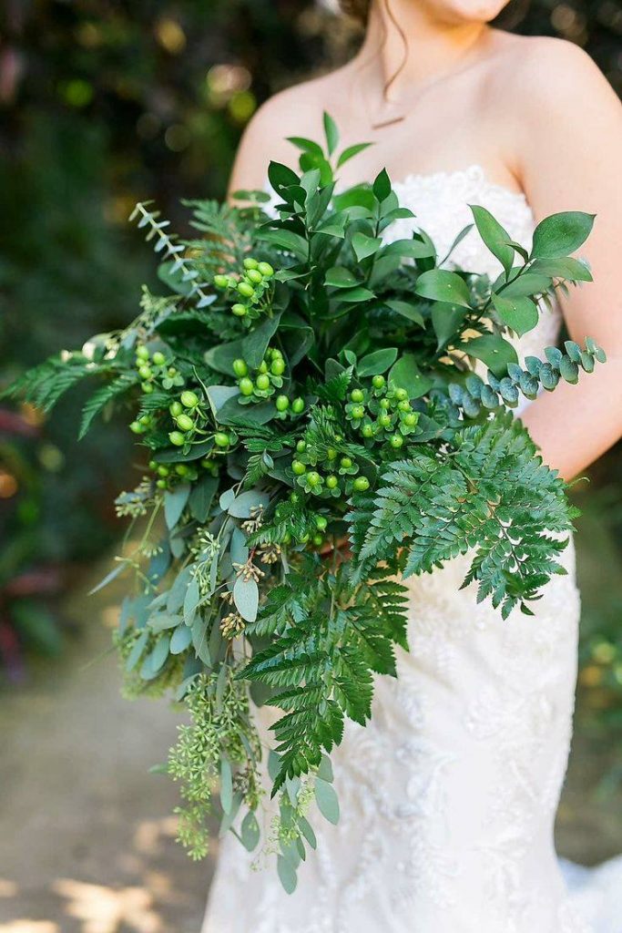 Lá Dương Xỉ