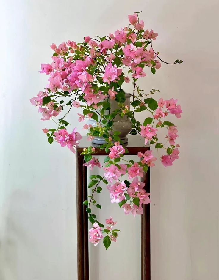Hoa Giấy
