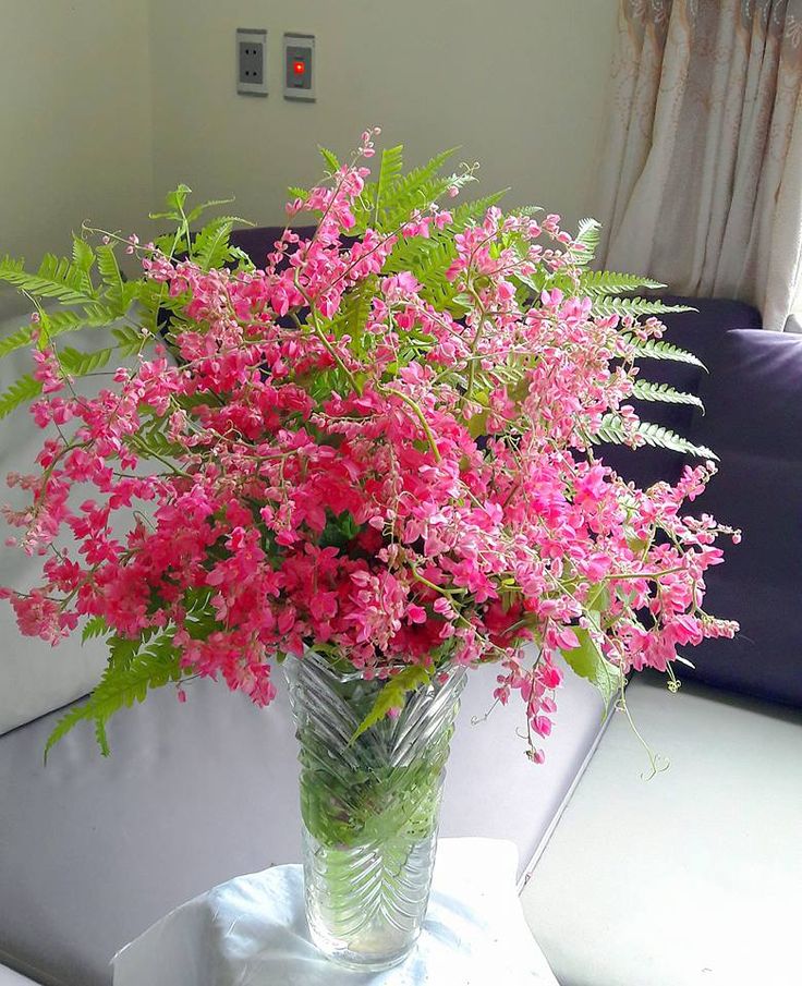 Hoa Tigon