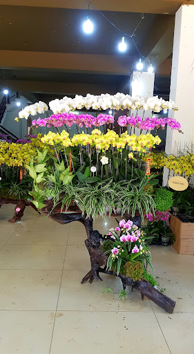 Hoa 99 - Điện hoa Pleiku - Tiệm Hoa Shop hoa tươi Gia Lai