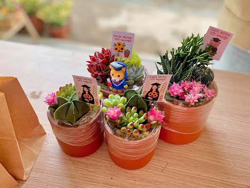 Linh’s Garden - Vườn Sen Đá Cần Thơ - Tiệm Hoa Hoa sinh nhật Cần Thơ