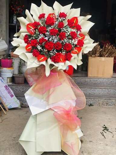 Shop Hoa Tươi Lâm Tùng - Tiệm Hoa Shop hoa tươi Hà Giang