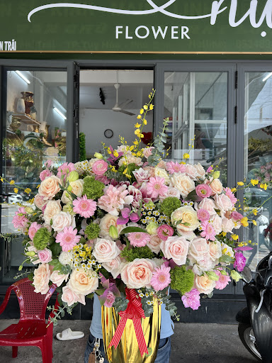 Nụ Flower- Shop Hoa Tươi - Trái Cây Nhập khẩu Tuy Hòa - Tiệm Hoa Shop hoa tươi Phú Yên
