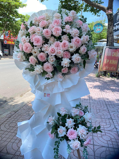 Shop hoa tươi Kanni Flowers - Hoa Tươi, hoa sápáp Nha Trang - Tiệm Hoa Shop hoa tươi Khánh Hòa