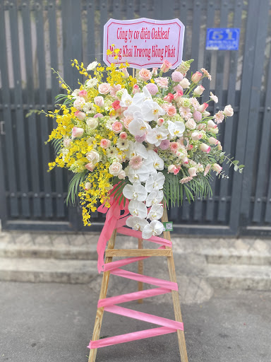 Shop hoa tươi PanDo - Tiệm Hoa Hoa sinh nhật Quảng Nam