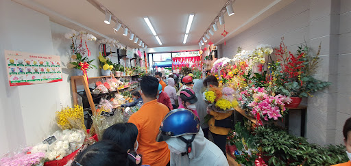 Dalat Hasfarm - Tiệm Hoa Shop hoa tươi Hậu Giang
