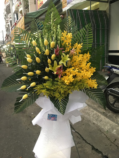 Hoa Tươi Rạch Giá Kiên Giang - Phương Phương - Tiệm Hoa Hoa Khai Trương Kiên Giang