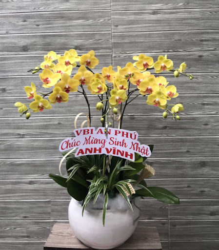 Cửa Hàng Hoa Lan Hồ Điệp - Tiệm Hoa Hoa lan hồ điệp Đồng Nai