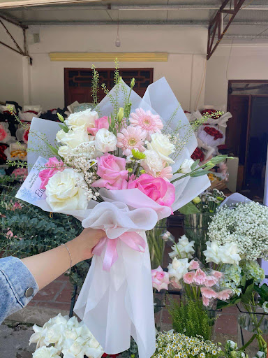 Elsa Flowers - Tiệm Hoa Shop hoa tươi Thái Nguyên