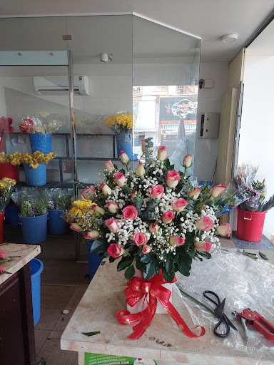 Shop Hoa Tươi Phương Đông - Tiệm Hoa Shop hoa tươi Bà Rịa - Vũng Tàu