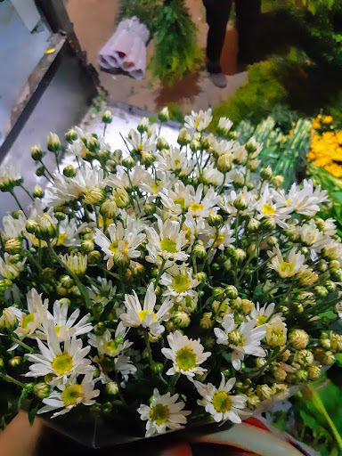 Hoa Tươi Giáp Khôi - Ninh bình - Tiệm Hoa Shop hoa tươi Ninh Bình
