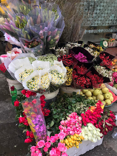 Hoa tươi chị Nguyệt - Tiệm Hoa Shop hoa tươi Hải Phòng