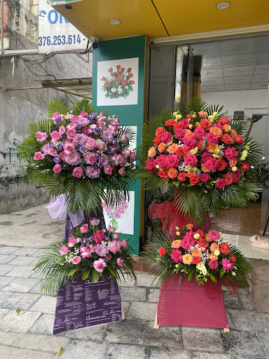 Shop Hoa tươi và trái cây quà tặng phương Dung - Tiệm Hoa Shop hoa tươi Thanh Hóa