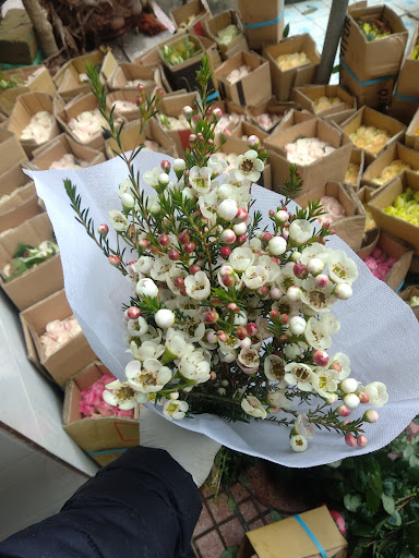 Hoa Tươi Thắng Thảo - Tiệm Hoa Shop hoa tươi Bắc Ninh