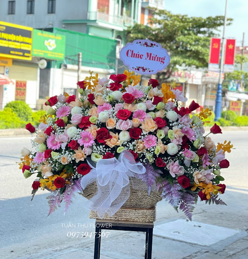 Đại Lý Hoa Tươi Tuấn Thu - TUAN THU FLOWER - Tiệm Hoa Shop hoa tươi Nghệ An