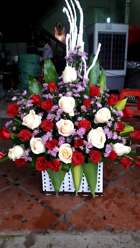 Điện Hoa Trần Hưng Đạo, Hưng Yên - Tiệm Hoa Hoa Khai Trương Thái Bình