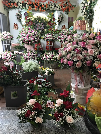 Shop Hoa Hoàng Lý - Tiệm Hoa Shop hoa tươi Bắc Ninh
