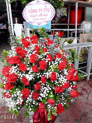 Shop hoa Chinh Chiến Hoa Tươi Hoa Lụa - Tiệm Hoa Shop hoa tươi Lào Cai