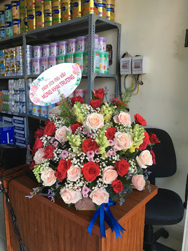 Shop Hoa Tươi Tam Kỳ - Tiệm Hoa Hoa sinh nhật Quảng Nam