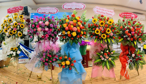 Shop Hoa Tươi Việt Hà - Tiệm Hoa Shop hoa tươi Đắk Lắk