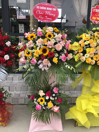 Shop Hoa Thu Trang - Tiệm Hoa Shop hoa tươi Nghệ An