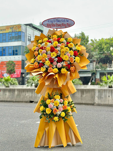 Shop Hoa khai trương đẹp TP Tây Ninh - Siin Store - Tiệm Hoa Hoa Khai Trương Tây Ninh