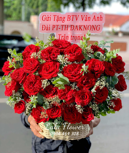Lala Flower - Shop hoa tươi Buôn Ma Thuột Dak Lak - Tiệm Hoa Shop hoa tươi Đắk Lắk