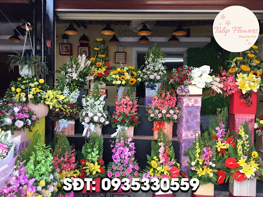Shop hoa Huế - Hoa tươi Huế - Điện hoa Huế - Tiệm Hoa Hoa lan hồ điệp Thừa Thiên Huế