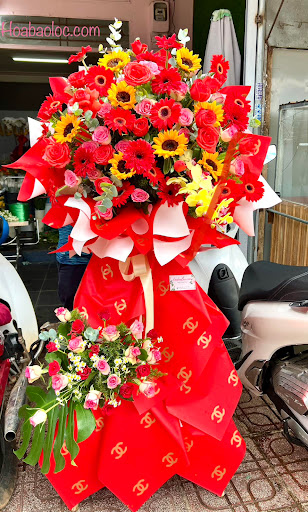 Hoa Tươi Tại Bảo Lộc - Tiệm Hoa Hoa Khai Trương Lâm Đồng