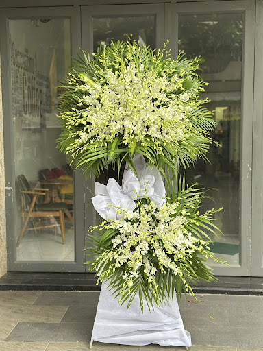 Shop Hoa Tươi Bạc Liêu - Linh Flower - Tiệm Hoa Hoa lan hồ điệp Bạc Liêu
