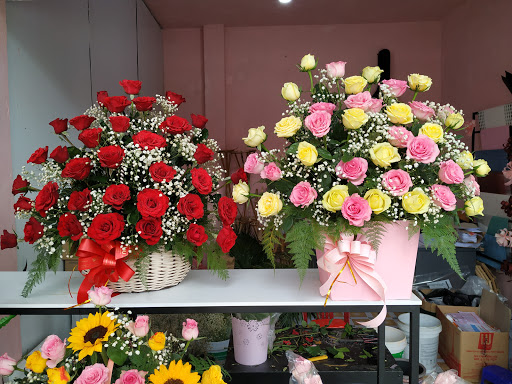 Hoa tươi Quang Trung (Quang Trung's florist) - Tiệm Hoa Shop hoa tươi Quảng Bình