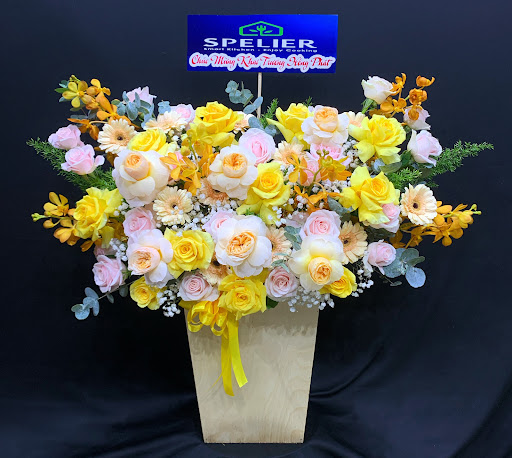 Hoa Tươi Vũng Tàu - Shop Hoa Tươi Xuân Diệu Vũng Tàu - Tiệm Hoa Shop hoa tươi Bà Rịa - Vũng Tàu