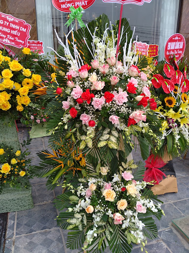 Hàng Hoa Tươi Hằng Nga - Tiệm Hoa Shop hoa tươi Nam Định