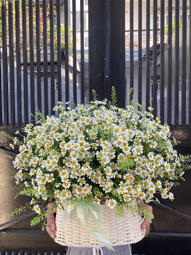 Shop Hoa Tươi Điện Biên Phủ - Linh Flower - Tiệm Hoa Hoa sinh nhật Điện Biên