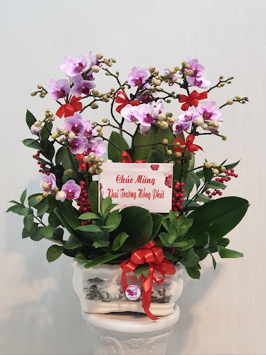 Hoa Thu Hằng - Điện hoa Hải Phòng - Tiệm Hoa Shop hoa tươi Hải Phòng