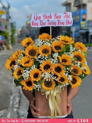 Shop Hoa Sinh Nhật Vũng Tàu-Hoa Tâm Tiền - Tiệm Hoa Hoa sinh nhật Bà Rịa - Vũng Tàu