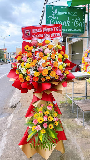 Shop Hoa tươi Thanh Ca - Tiệm Hoa Shop hoa tươi Quảng Ngãi