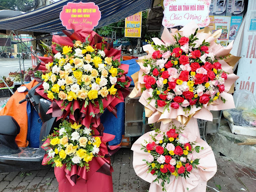 Cửa hàng hoa Hồng Bảy - Tiệm Hoa Shop hoa tươi Hoà Bình