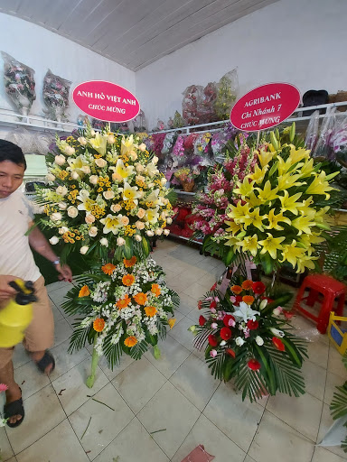 Shop Hoa Phan Rang - Tiệm Hoa Ninh Thuận - Tiệm Hoa Hoa Khai Trương Ninh Thuận