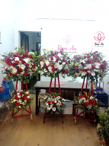 Tâm An Flowers - Cung cấp các sản phẩm hoa tươi bán lẻ, hoa sự kiện, văn phòng - Tiệm Hoa Hoa Sáp Hà Nội