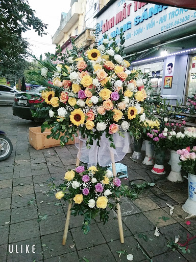 Shop hoa Nga Thanh - Tiệm Hoa Shop hoa tươi Yên Bái