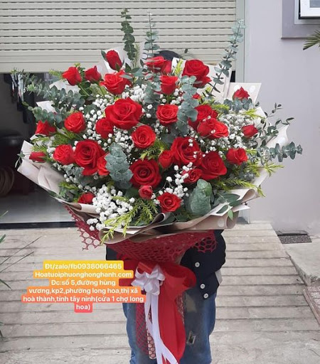Hoa Tươi Phương Hồng Hạnh - Tiệm Hoa Shop hoa tươi Tây Ninh
