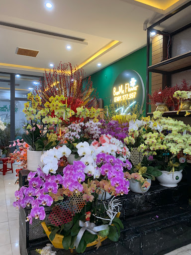 Shop Hoa tươi Ban Mê - Tiệm Hoa Shop hoa tươi Đắk Lắk
