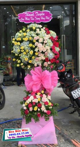 Shop Hoa Tươi Trà Vinh | Điện Hoa Giá Rẻ - Tiệm Hoa Hoa Khai Trương Trà Vinh