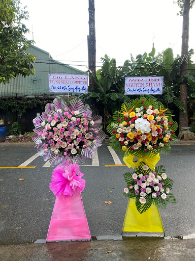Hoa Tươi Trà Vinh - QUỲNH FLOWER, Điện Hoa Tươi Trà Vinh - Tiệm Hoa Hoa Khai Trương Trà Vinh