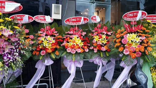 Shop Bán Hoa Đẹp Cà Mau ( Sang Trọng Rẻ Đẹp ) - Tiệm Hoa Hoa Khai Trương Cà Mau