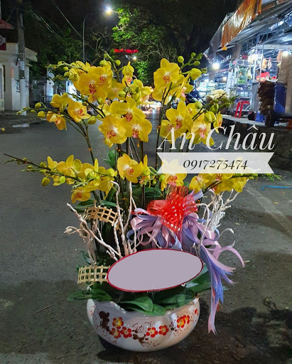Hoa Tươi Bạc Liêu - Hoa Tươi An Châu - Tiệm Hoa Hoa lan hồ điệp Bạc Liêu